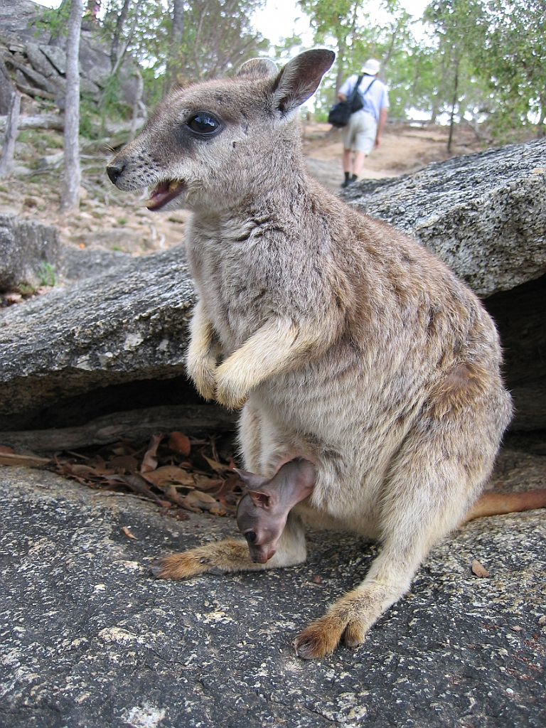 108 Granite Gorge.jpg